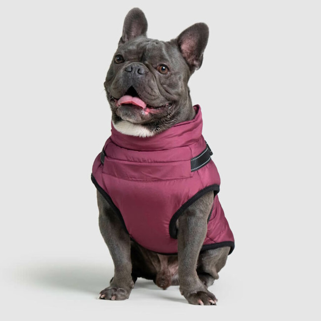 Waterproof Dog Coat with Harness, Wine