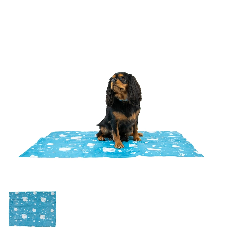 Ancol Ice Paws Cool Mat