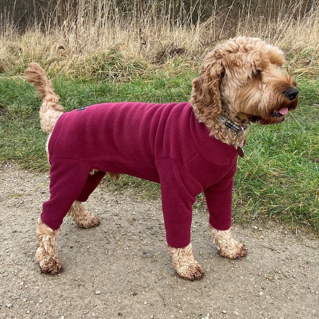 4 Legged Fleece Dog Suit, Mulberry