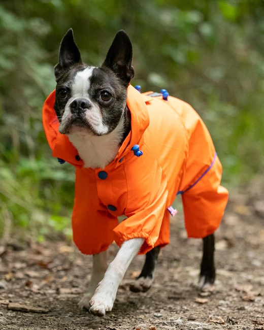 Hugo and Hudson Protective Dog Overalls, Orange