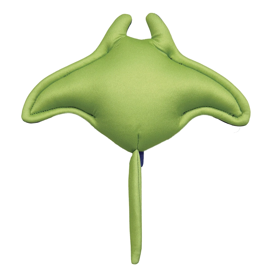 Freeze n Float Stingray