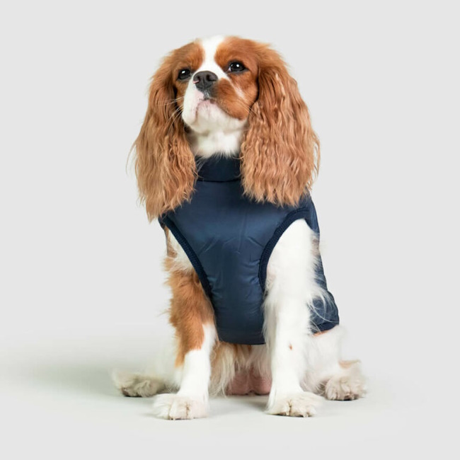 Waterproof Dog Coat with Harness, Navy