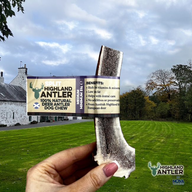 Highland Split Antler Chew - Medium