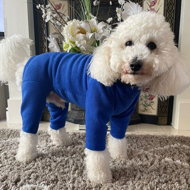 4 Legged Fleece Dog Suit, Blue