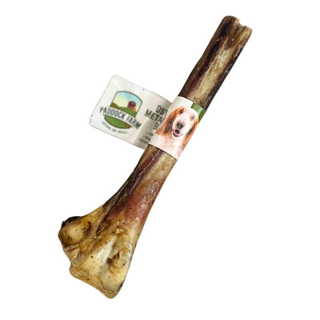 Ostrich Metatarsus Bone