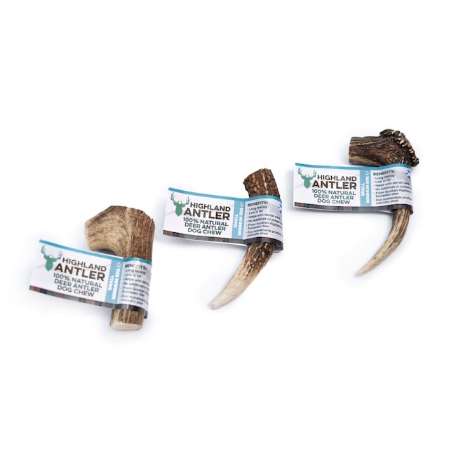 Highland Antler Chew, Small