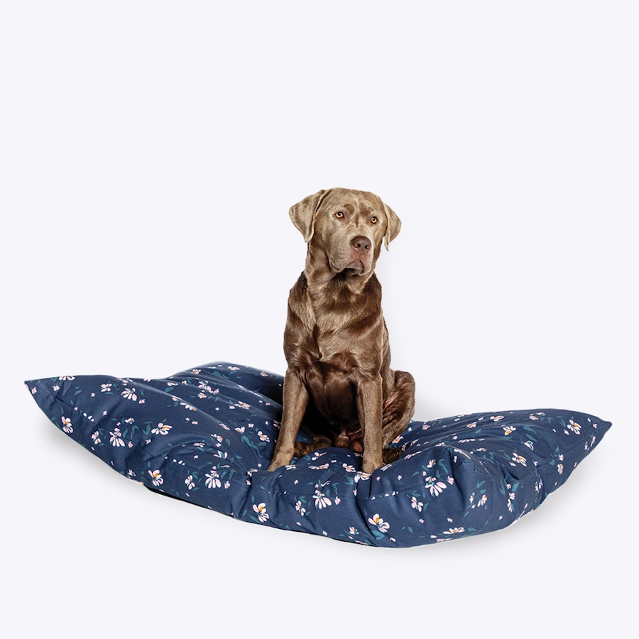 FatFace Brush Floral Flat Bed