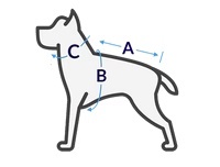 Hugo & Hudson Size Guide