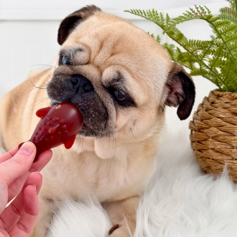 Pets Larder Dolphin Chew