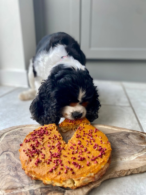 Dog & Bond Dog Cake Mix