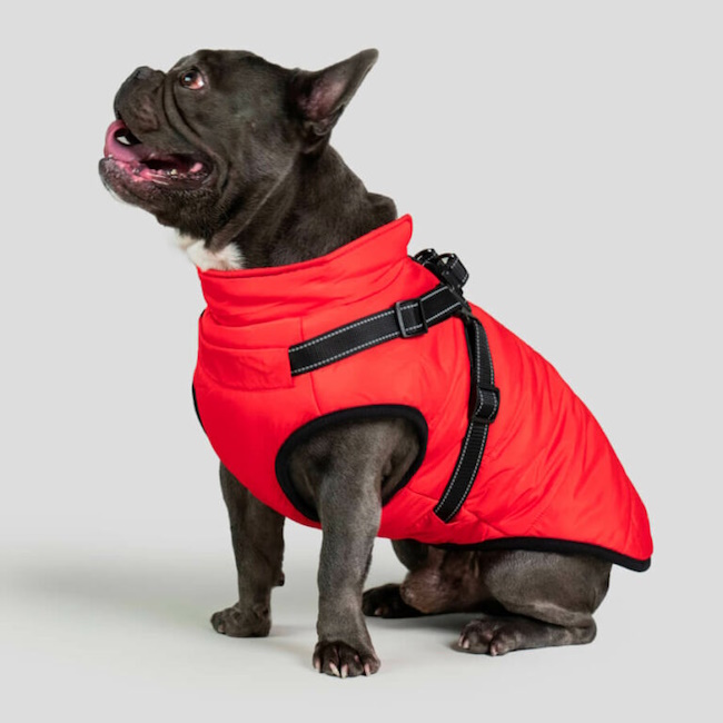 Waterproof Dog Coat with Harness, Red