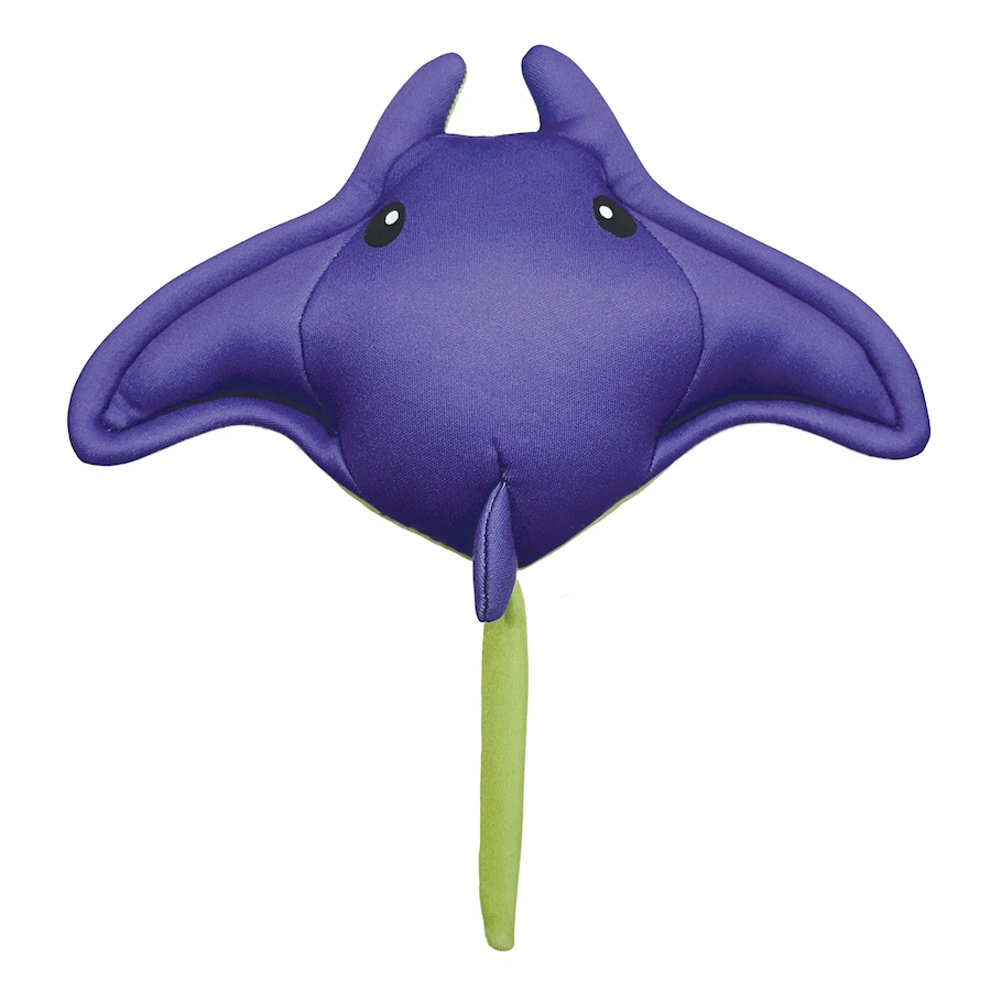 Freeze n Float Stingray