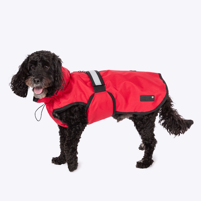 Danish Design 3-in-1 Dog Coat, Red