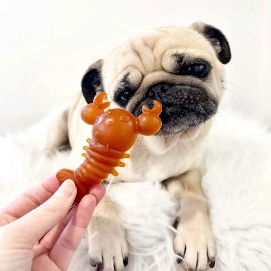 Pets Larder Lobster Chew