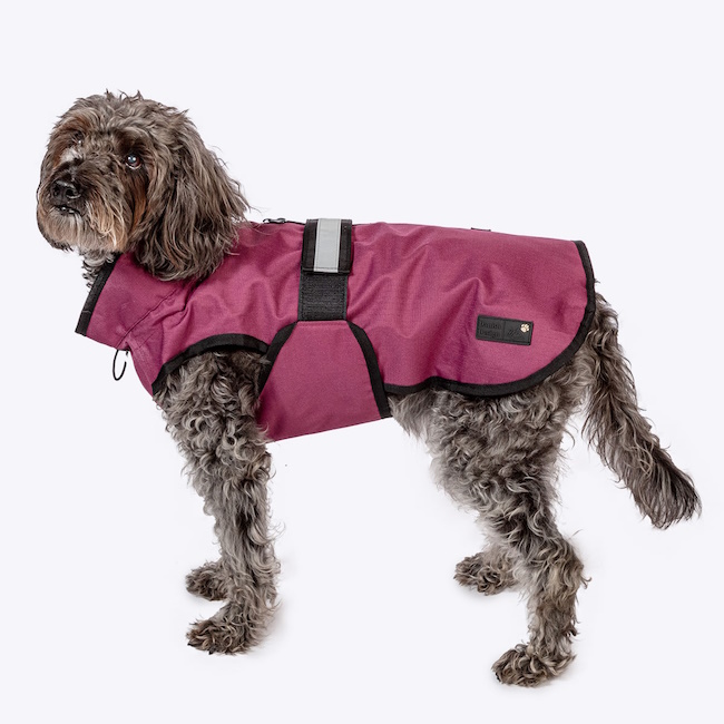 Danish Design 3-in-1 Dog Coat, Plum