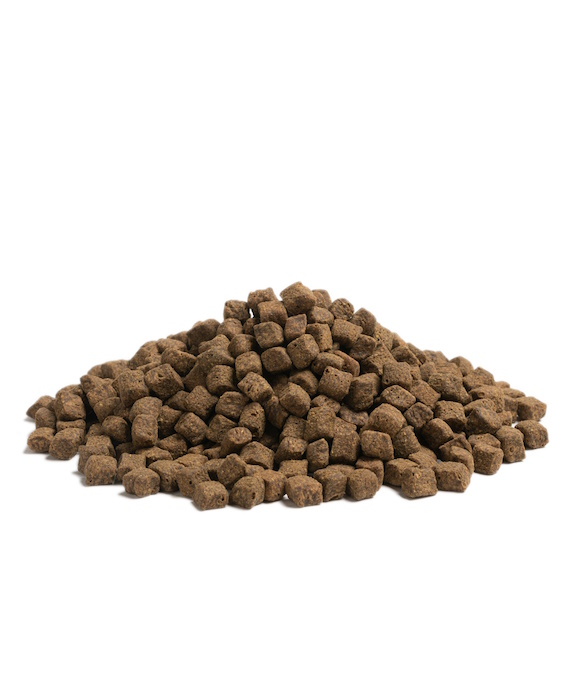 Essential Older Dry Dog Food, 2.5kg