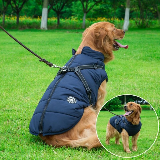 Waterproof Dog Coat with Harness, Navy