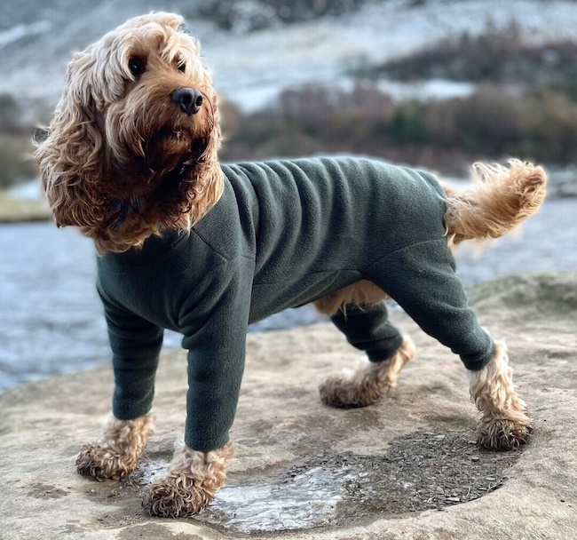 4 Legged Fleece Dog Suit, Green