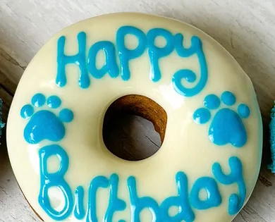 Yappy Birthday Iced Biscuit Donut