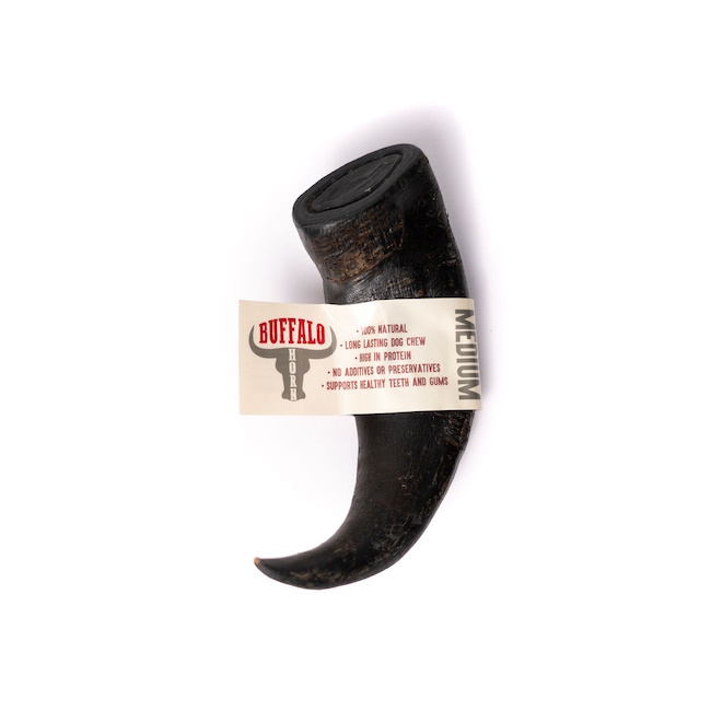 Buffalo Horn