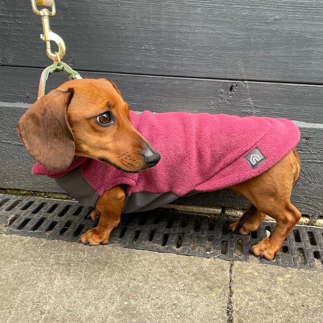 Mini Dachshund Fleece Jumper With Waterproof Belly Panel, Dusty Rose