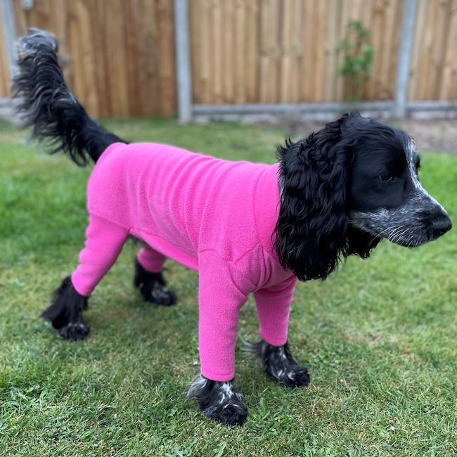 4 Legged Fleece Dog Suit, Cerise