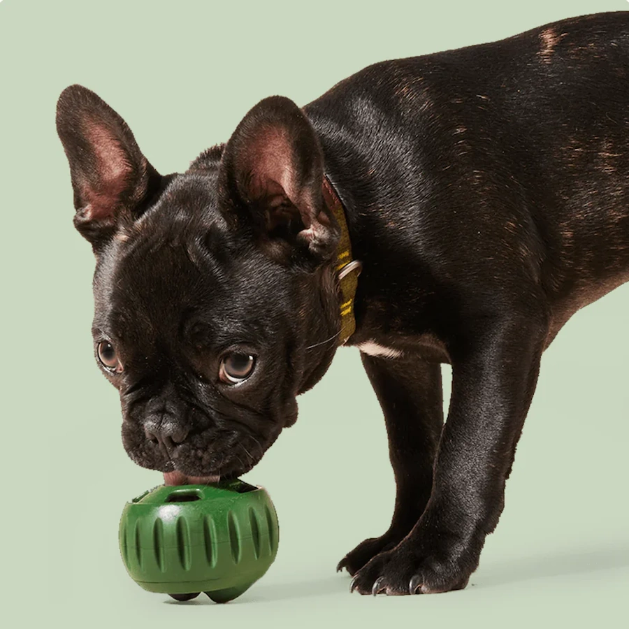 Woof Pupsicle Enrichment Toy